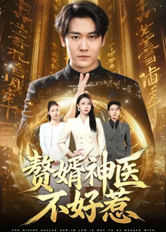 赘婿神医不好惹
