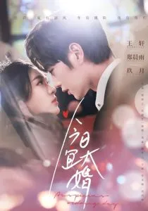 今日宜大婚在线观看