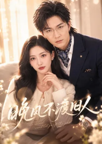 晚风不渡旧人在线观看