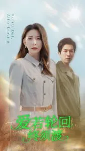 爱若轮回终须渡在线观看