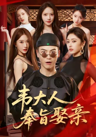 韦大人奉旨娶亲在线观看