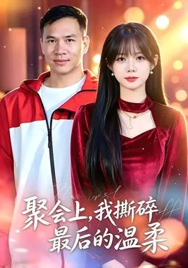 聚会上,我撕碎最后的温柔在线观看