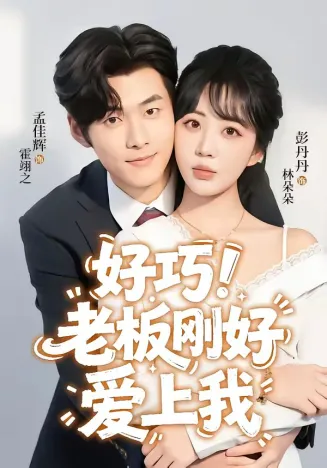 好巧！老板刚好爱上我在线观看