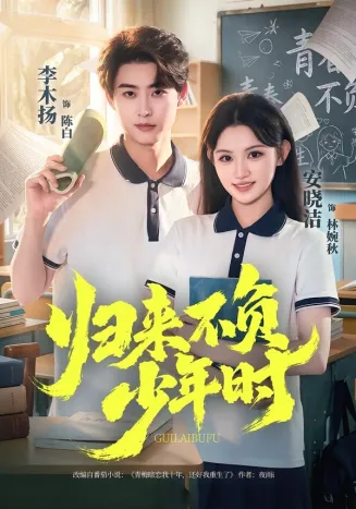 归来不负少年时在线观看
