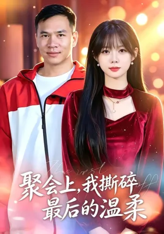 聚会上,我撕碎最后的温柔在线观看