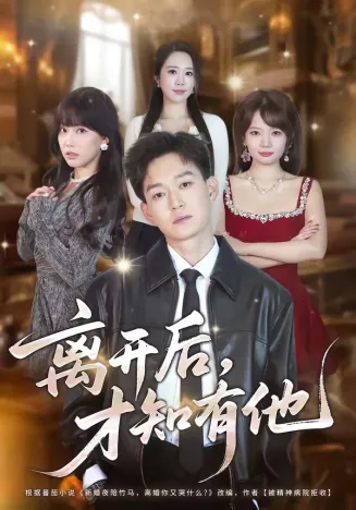 离开后,才知有他在线观看