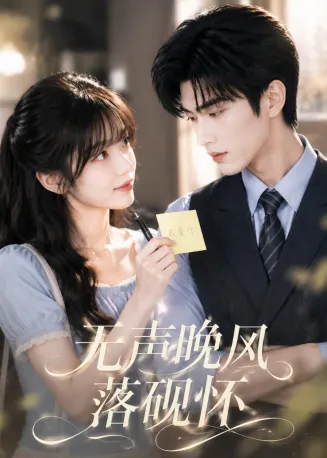 无声晚风落砚怀在线观看