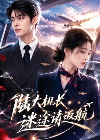 陆大机长，迷途请返航