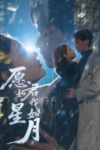 愿君如星我如月在线观看