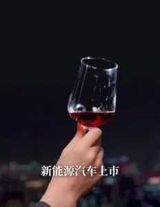 宝刀未老之再来一次在线观看