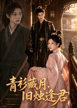 青衫藏月，旧烛逢君