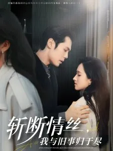 斩断情丝，我与旧事归于尽在线观看
