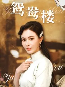 鸳鸯楼在线观看