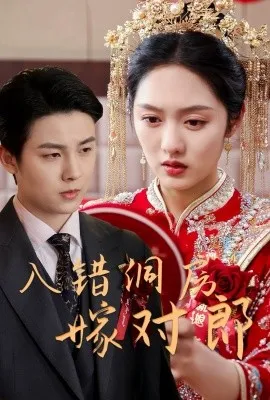 入错洞房嫁对郎在线观看