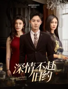 深情不赴旧约在线观看