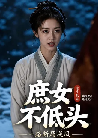 庶女不低头，一路断局成凤