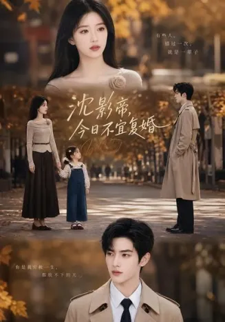 沈影帝，今日不宜复婚