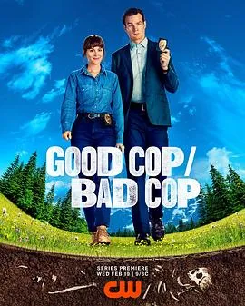 好警察/坏警察在线观看