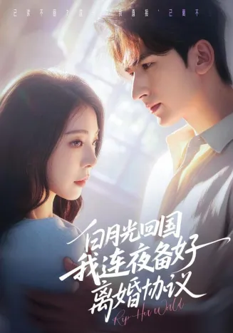 白月光回国我连夜备好离婚协议在线观看
