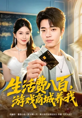 生活费八百,游戏商城养我在线观看