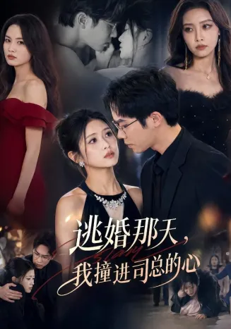 逃婚那天，我撞进司总的心在线观看