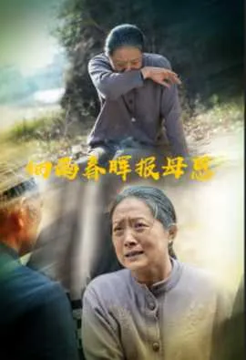 细雨春晖报母恩在线观看