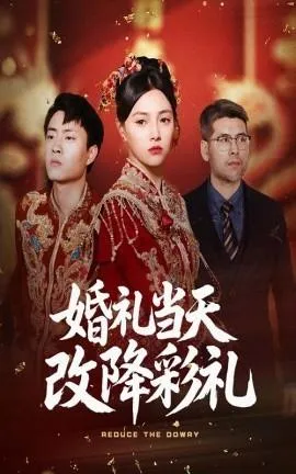 婚礼当天改降彩礼在线观看