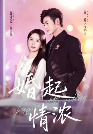 婚起情浓在线观看