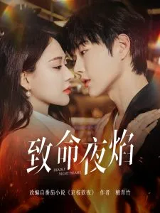 致命夜焰在线观看