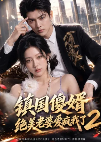 镇国傻婿：绝美老婆爱疯我了2