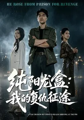 纯阳龙盒：我的复仇征途