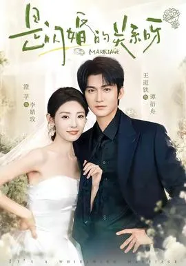 是闪婚的关系呀