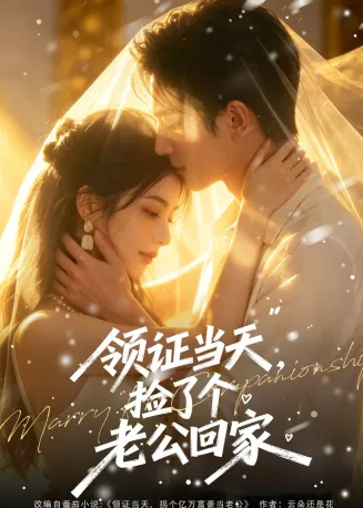 领证当天，捡了个老公回家