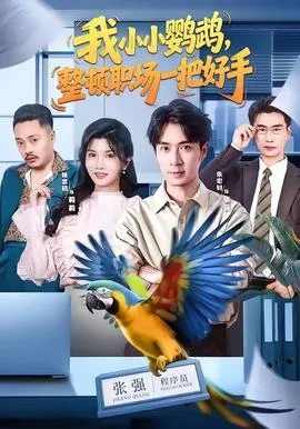 我小小鹦鹉,整顿职场一把好手