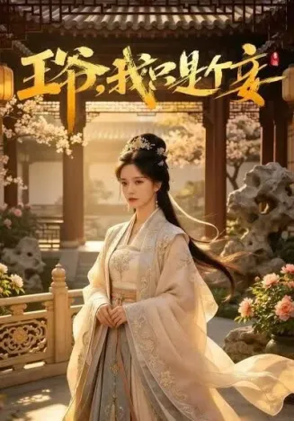 王爷，我只是个妾
