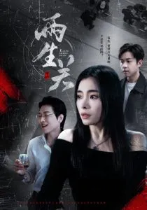 两生关在线观看