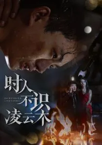 时人不识凌云木在线观看