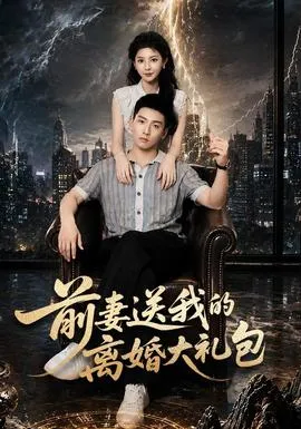 前妻送我的离婚大礼包