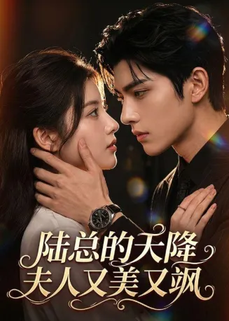 陆总的天降夫人又美又飒