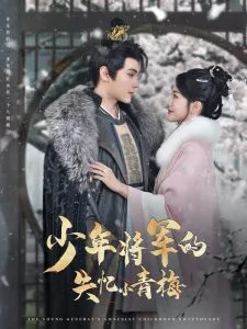 少年将军的失忆小青梅在线观看