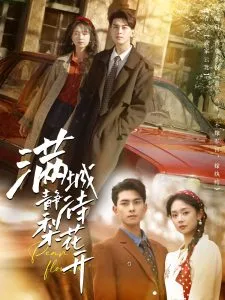 满城静待梨花开在线观看