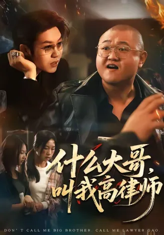 什么大哥，叫我高律师封面