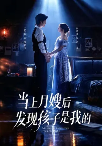 当上月嫂后发现孩子是我的封面