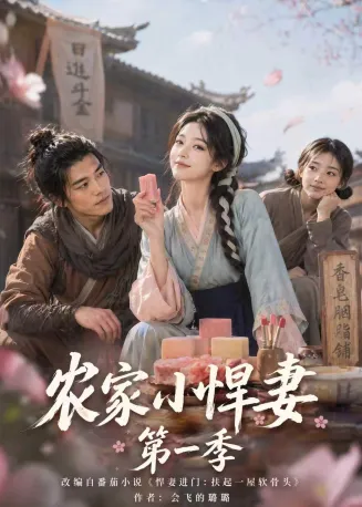 农家小悍妻第一季封面