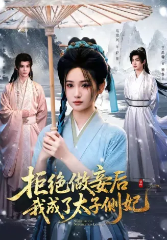拒绝做妾后我成了太子侧妃在线观看