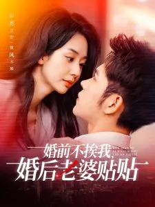 婚前不挨我，婚后老婆贴贴在线观看