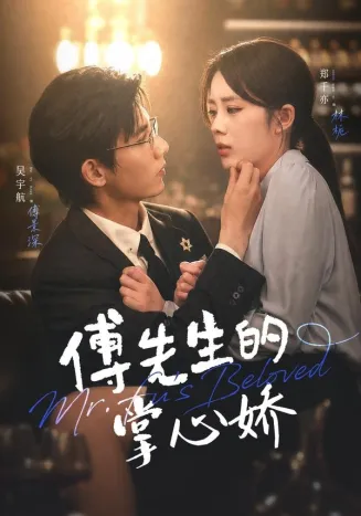 傅先生的掌心娇封面