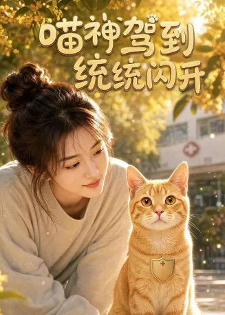 喵神驾到统统闪开