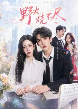 野火烧不尽在线观看
