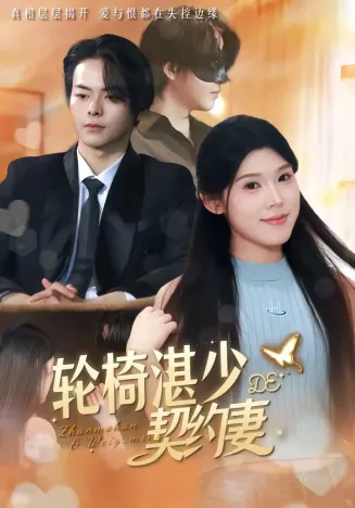 轮椅湛少的契约妻封面